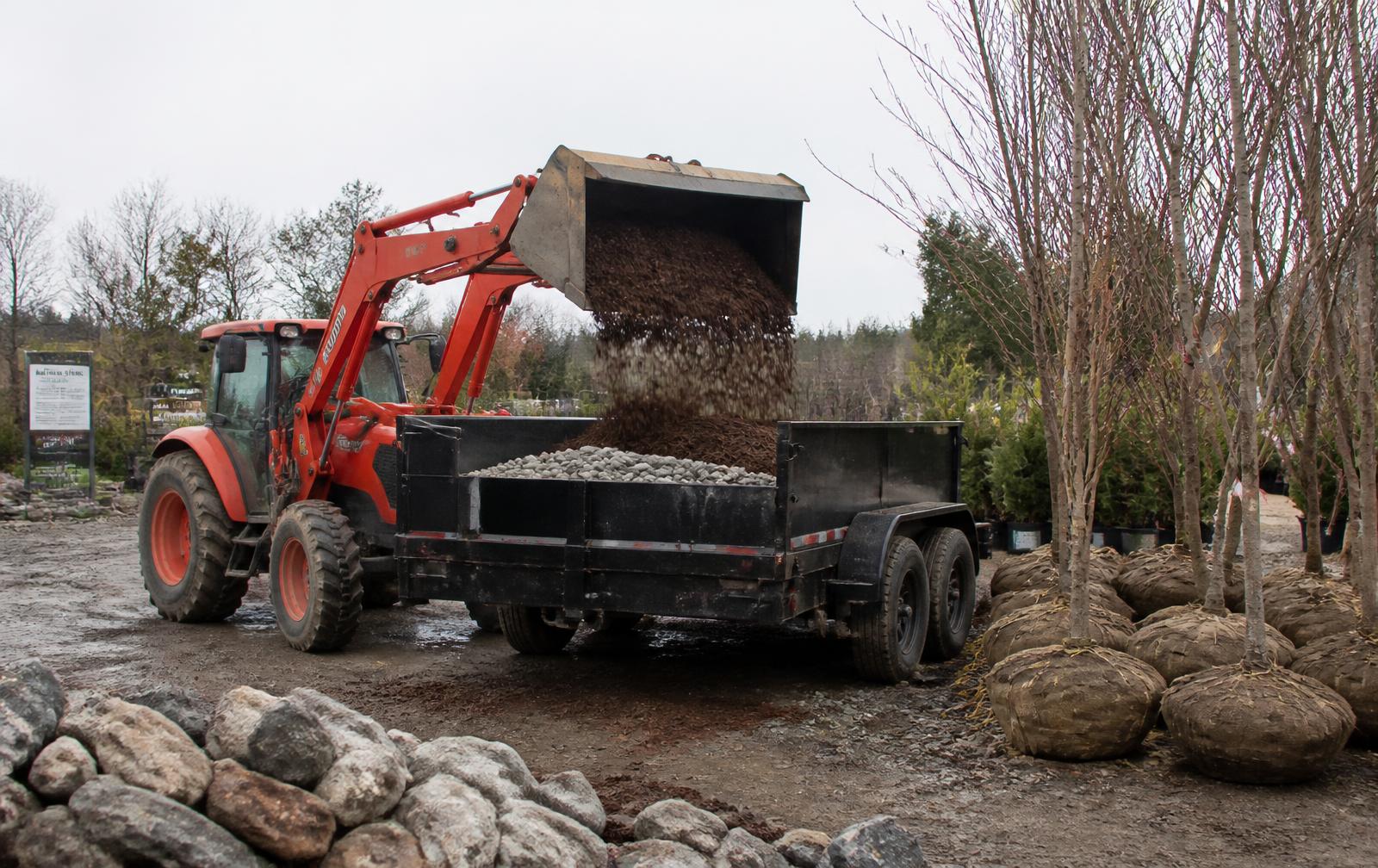 A tractor loading bulk landscaping material into a trailer beside trees ready for planting